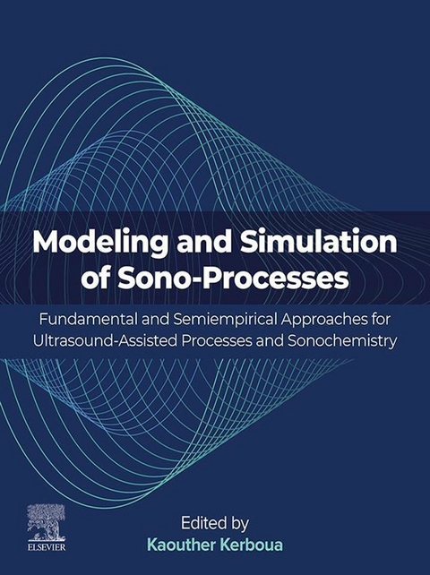 Modeling and Simulation of Sono-Processes - 