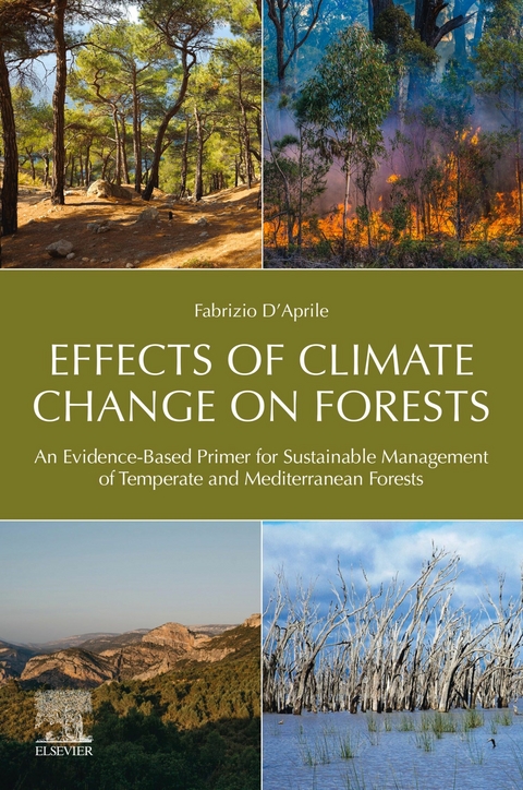 Effects of Climate Change on Forests -  Fabrizio D'Aprile