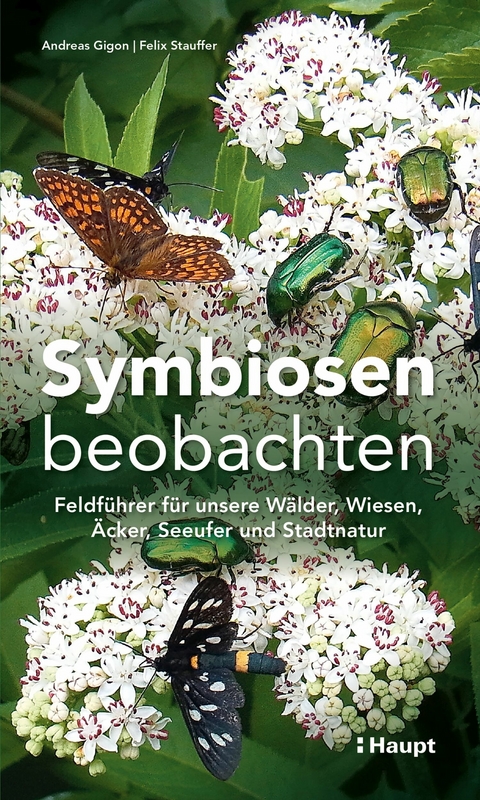 Symbiosen beobachten - Andreas Gigon, Felix Stauffer