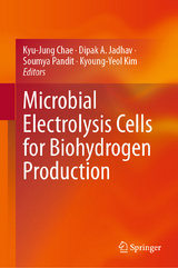 Microbial Electrolysis Cells for Biohydrogen Production - 