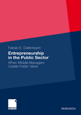 Entrepreneurship in the Public Sector - Fabian Elias Diefenbach