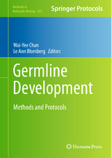 Germline Development - 