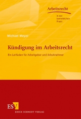 Kündigung im Arbeitsrecht - Michael Meyer