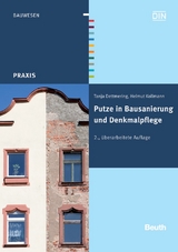 Putze in Bausanierung und Denkmalpflege - Tanja Dettmering, Helmut Kollmann