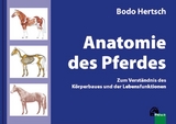 Anatomie des Pferdes - Hertsch, Bodo