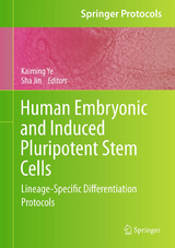 Human Embryonic and Induced Pluripotent Stem Cells - 