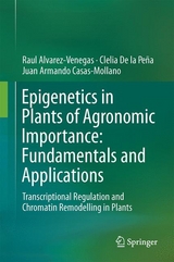 Epigenetics in Plants of Agronomic Importance: Fundamentals and Applications - Raúl Alvarez-Venegas, Clelia De la Peña, Juan Armando Casas-Mollano