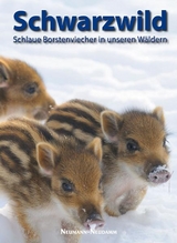 Schwarzwild - 