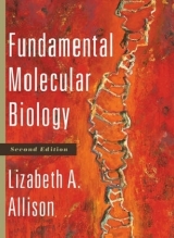 Fundamental Molecular Biology - Allison, Lizabeth A.