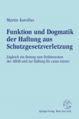 Funktion und Dogmatik der Haftung aus Schutzgesetzverletzung - Karollus, Martin