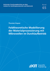 Feldtheoretische Modellierung der Materialprozessierung mit Mikrowellen im Durchlaufbetrieb - Thorsten Kayser