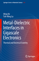 Metal-Dielectric Interfaces in Gigascale Electronics - Ming He, Toh-Ming Lu