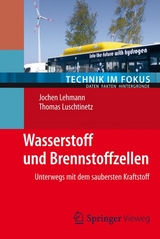 Wasserstoff und Brennstoffzellen -  Jochen Lehmann,  Thomas Luschtinetz