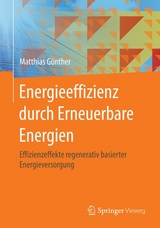 Energieeffizienz durch Erneuerbare Energien - Matthias Günther