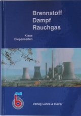 Brennstoff Dampf Rauchgas - Klaus Diepenseifen