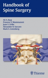 Handbook of Spine Surgery - 