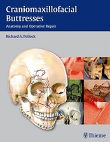 Craniomaxillofacial Buttresses - 