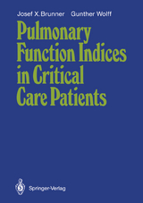 Pulmonary Function Indices in Critical Care Patients - Josef X. Brunner, Gunther Wolff