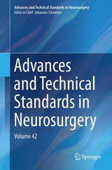 Advances and Technical Standards in Neurosurgery - 