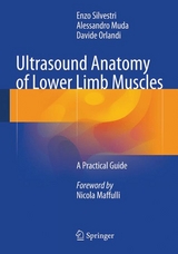 Ultrasound Anatomy of Lower Limb Muscles -  Enzo Silvestri,  Alessandro Muda,  Davide Orlandi