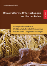 Ultrastrukturelle Untersuchungen an zilierten Zellen - Rebecca Hoffmann