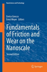 Fundamentals of Friction and Wear on the Nanoscale - 