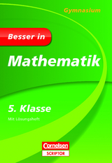 Besser in Mathematik - Gymnasium 5. Klasse - Roland Zerpies, Fritz Kammermeyer