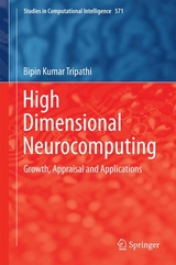 High Dimensional Neurocomputing -  Bipin Kumar Tripathi