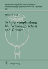 Schmerzempfindung bei Schwangerschaft und Geburt - Meinhard Rust