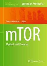 mTOR - 