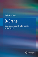 D-Brane - Koji Hashimoto