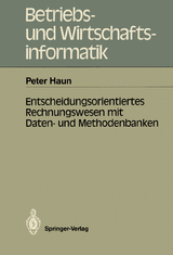 Entscheidungsorientiertes Rechnungswesen mit Daten- und Methodenbanken - Peter Haun