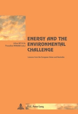 Energy and the Environmental Challenge - 