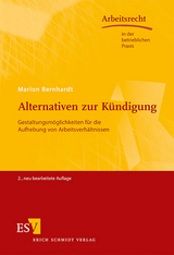 Alternativen zur Kündigung - Bernhardt, Marion