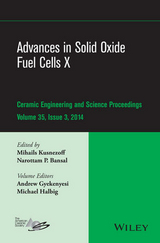 Advances in Solid Oxide Fuel Cells X, Volume 35, Issue 3 - 