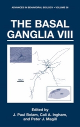 Basal Ganglia VIII - 