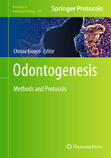 Odontogenesis - 