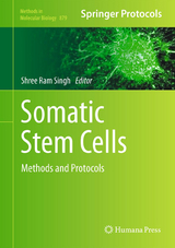 Somatic Stem Cells - 
