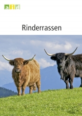 Rinderrassen - Antje Elfrisch, Elisabeth Roesicke