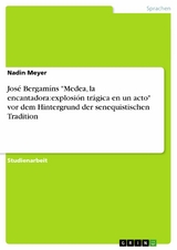 José Bergamíns 'Medea, la encantadora:explosión trágica en un acto' vor dem Hintergrund der senequistischen Tradition -  Nadin Meyer