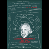 Einstein, Quantenspuk und die Weltformel - Janick Mischler