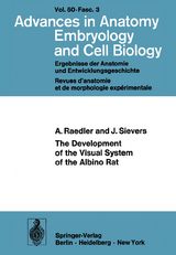 The Development of the Visual System of the Albino Rat - A. Raedler, J. Sievers