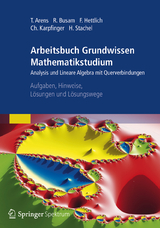 Arbeitsbuch Grundwissen Mathematikstudium - Analysis und Lineare Algebra mit Querverbindungen - Tilo Arens, Rolf Busam, Frank Hettlich, Christian Karpfinger, Hellmuth Stachel