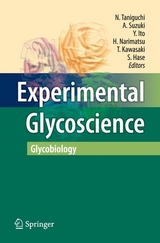 Experimental Glycoscience - 