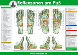 Reflexzonen am Fuß (A2) - Marquardt, Hanne