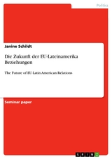 Die Zukunft der EU-Lateinamerika Beziehungen - Janine Schildt