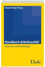 Handbuch Arbeitsunfall - 