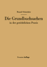 Die Grundbuchsachen in der gerichtlichen Praxis - Arthur Brand, Leo Schnitzler