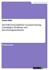 Die Volkswirtschaftliche Gesamtrechnung. Grundlagen, Probleme und Berechnungsmethoden - Andre Hiller