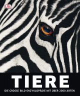 Tiere - 